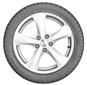 Goodyear-Eagle-F1-GS-D3-3.jpg