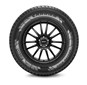 Pirelli-Carrier-Winter-3.JPG
