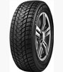 Delinte Winter WD1 175/65 R14 82T